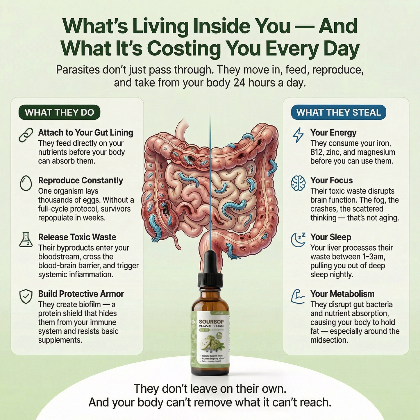Vidas Soursop Parasite Cleanse