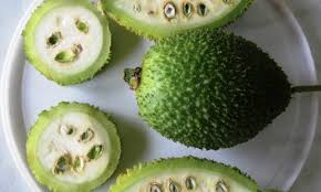 Spiny Bitter Gourd